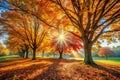 Autumn Trees in Sun Rays Autumn Fall Royalty Free Stock Photo