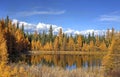 Autumn trees surrounding a pond