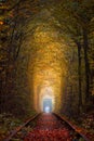 Autumn Trees Tunnel with old railway - Tunnel of Love. Natural tunnel of love formed by trees. Ukraine Royalty Free Stock Photo