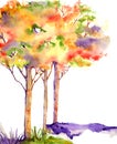 Autumn trees