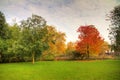 Autumn Vondelpark Royalty Free Stock Photo