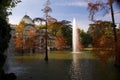 Autumn trees in water