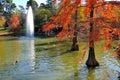 Autumn trees in water