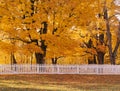 Autumn Trees and White Fence