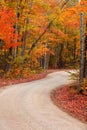 Autumn trees by the winding rural road in Michigan upper peninsula countryside Royalty Free Stock Photo