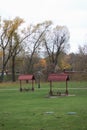 Autumn trees with yellow leaves in the city park. Autumn landscape Royalty Free Stock Photo