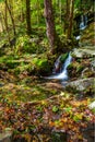 Autumn Waterfall in Tremont in the Great Smoky Mountains Royalty Free Stock Photo