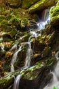 Waterfall in Tremont in the Great Smoky Mountains Royalty Free Stock Photo