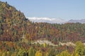 Autumn in Trentino Royalty Free Stock Photo