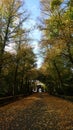 Autumn in Treptower park in Berlin city