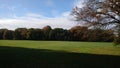 Autumn in Treptower park in Berlin city