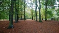 Autumn in Treptower park in Berlin city