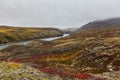 Autumn tundra in fog and river Amguema Arctic Royalty Free Stock Photo