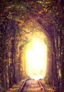 Autumn tunnel of love. City of Klevan, Ukraine Royalty Free Stock Photo