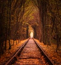 Autumn tunnel of love. City of Klevan, Ukraine Royalty Free Stock Photo