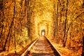 Autumn tunnel of love. City of Klevan, Ukraine Royalty Free Stock Photo