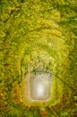 Autumn Tunnel of Love. Stylized as an Oil Painting Royalty Free Stock Photo