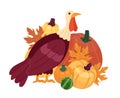 Autumn turkey pumpkins cartoon flat illustration