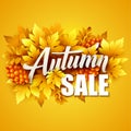 Autumn typographic. Fall leaf. Vector illustration