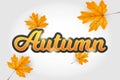 Autumn typographic. Fall leaf. Vector illustration EPS 10