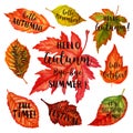 Autumn typographic. Fall leaf. Vector illustration EPS 10