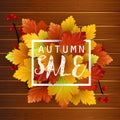 Autumn typographic on wood background