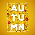 Autumn typography design with white paper cut text Royalty Free Stock Photo