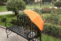 Autumn umbrella on a Park bench
