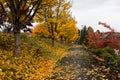 Autumn in urban area