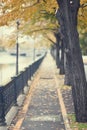 Autumn urban path