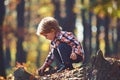 Autumn vacation and camping. Activity and active rest for kid. Child play on fresh air outdoor. Little prince in fairy Royalty Free Stock Photo