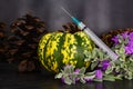 Autumn vaccinations are seasonal healthcare Royalty Free Stock Photo
