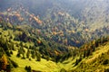 Autumn valley of green meadows and colorful forests in Shiga Kogen Highlands is a ski resort and hiking spot, located in the Nat