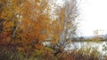 Autumn in the valley of the Ingoda river. Ingoda is the left component of the Shilka river. Royalty Free Stock Photo