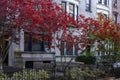 Autumn with various colors of trees on the yards of brownstones in the neighborhood of Brooklyn, NY. Beautiful fall with leaves
