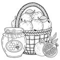 Autumn vector coloring page for adults. Black and white background silhouette. Harvest of ripe applesapples, pomegranates and hone