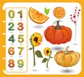 autumn vector illustration with pumpkin and sunflowers, stickers, fruits and vegetables