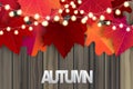 Autumn vector illustration with wooden plant wall and red and orange leaves with glowing lights garland.