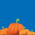 Autumn vector orange pumpkins border design template for banners and thanksgiving day backgrounds. Royalty Free Stock Photo