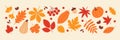 Set of autumn leaves and berries in simple flat style