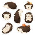 Autumn vector set of seven cute cartoon hedgehogs in different poses. A cheerful forest animal character carries apple and Royalty Free Stock Photo