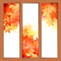 Autumn Vector Watercolor Headers