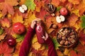 Autumn vegan and vegetarian food concept - apples, pomegranate, nuts, spices. Picnic time. Female hands holding bottle of red Royalty Free Stock Photo