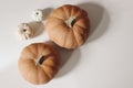 Autumn vegetable composition. Fresh food still life made of small white and orange pumpkins iolated on beige table