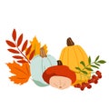 Autumn vegetable composition with pumpkin, squash, leaves and berries. Vector flat pumpkins in orange, green and yellow