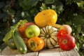 Autumn vegetable and fruits collection