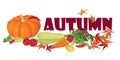 Autumn vegetable and leaves background