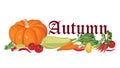 Autumn vegetable and leaves background