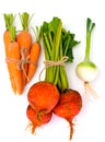 Autumn Vegetables Beets, Onions and Carrots Royalty Free Stock Photo