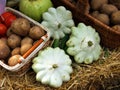 Autumn vegetables composition Royalty Free Stock Photo
